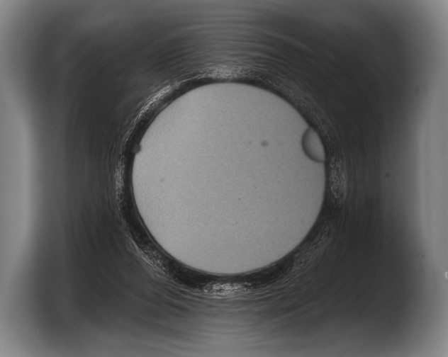 X0000103320208200810061001