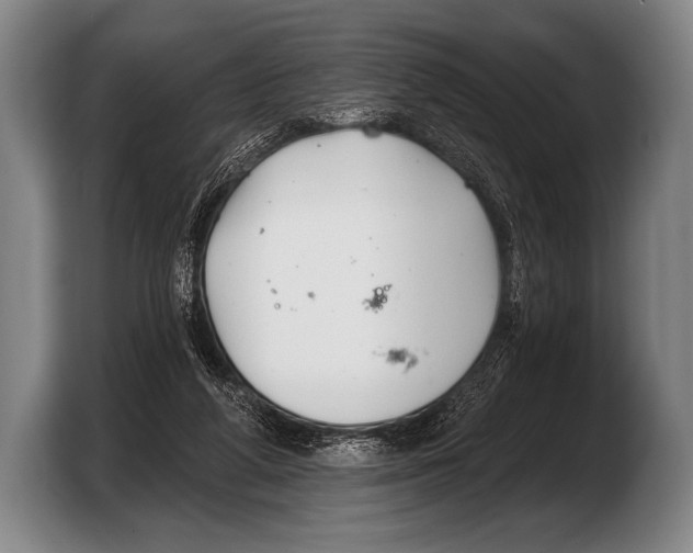 X0000103320210200810061001