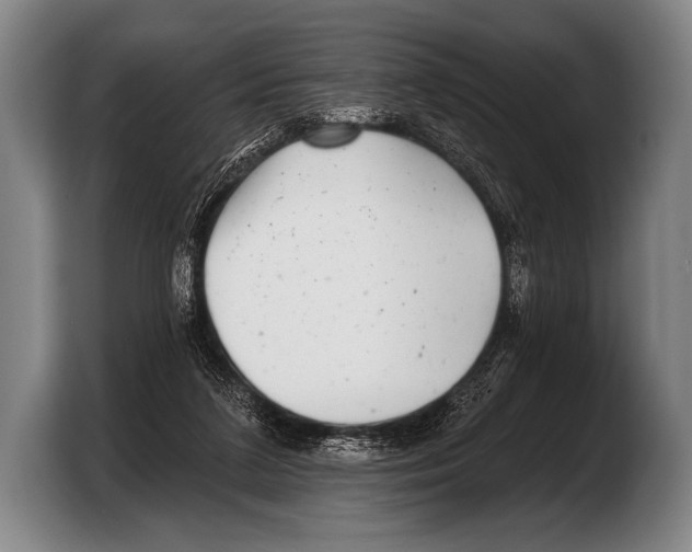 X0000103320211200810061001