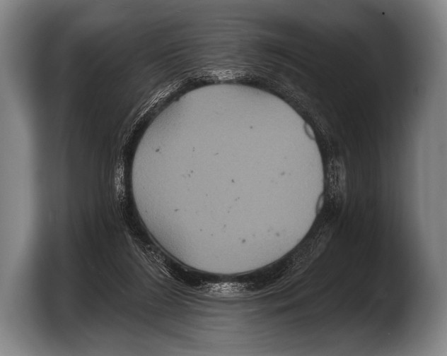 X0000103320212200810061001