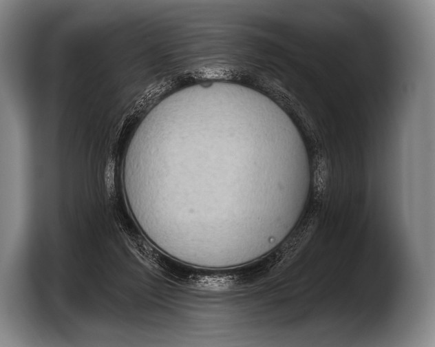 X0000103320213200810061001