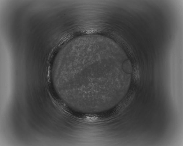 X0000103320214200810061001