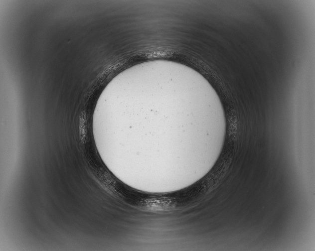 X0000103320215200810061001