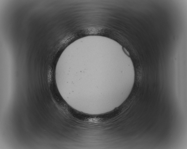 X0000103320216200810061001