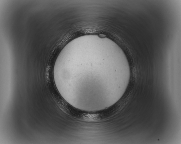 X0000103320217200810061001