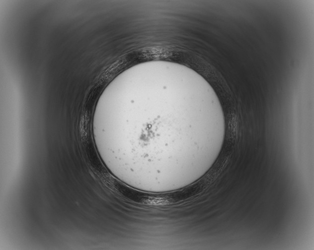 X0000103320218200810061001