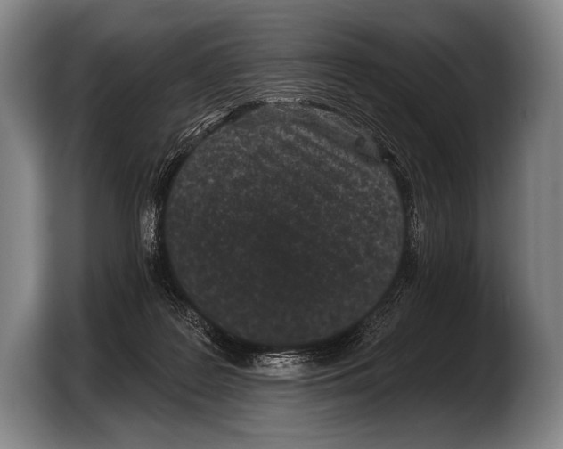 X0000103320219200810061001