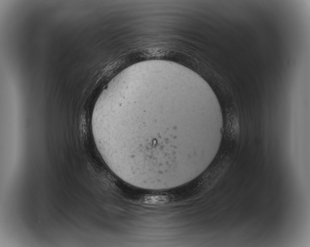 X0000103320220200810061001