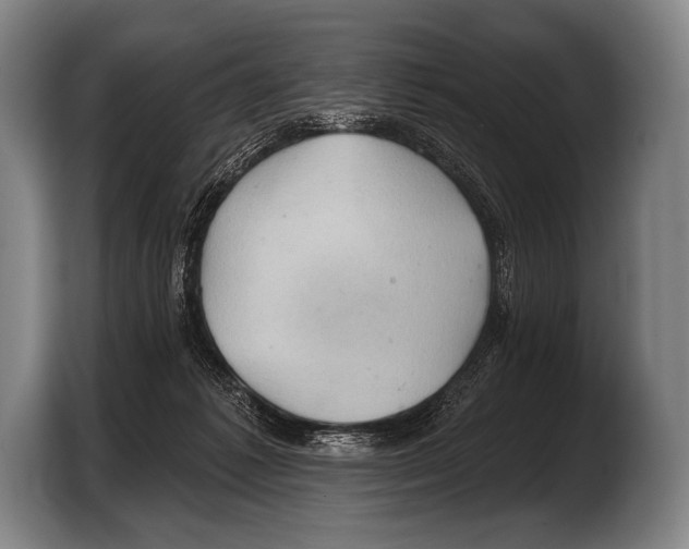 X0000103320221200810061001