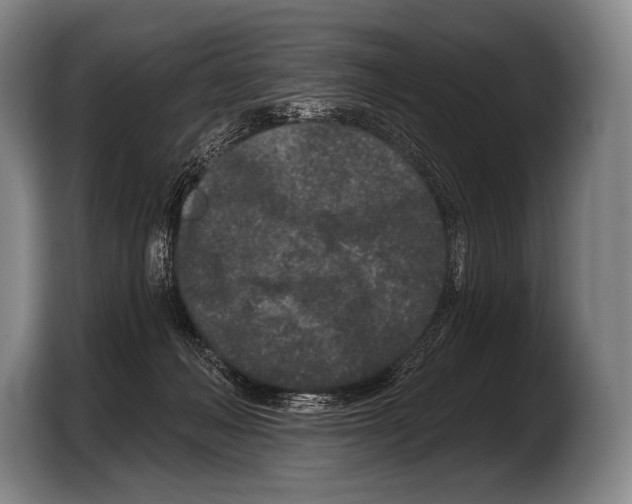 X0000103320222200810061001