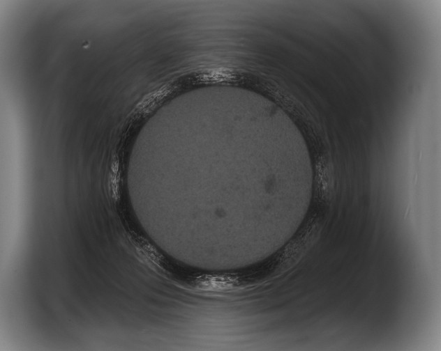 X0000103320223200810061001