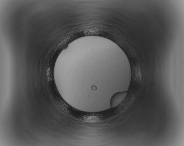 X0000103320224200810061001