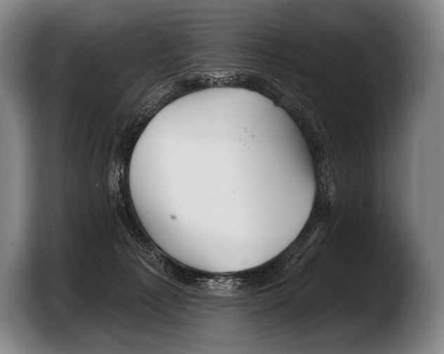 X0000103320225200810061001