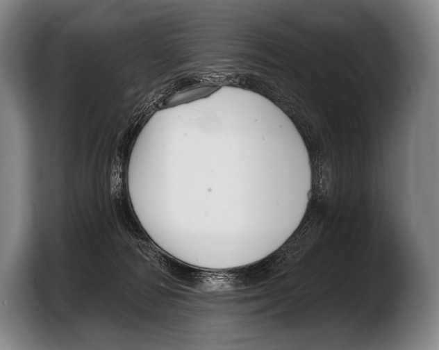 X0000103320226200810061001