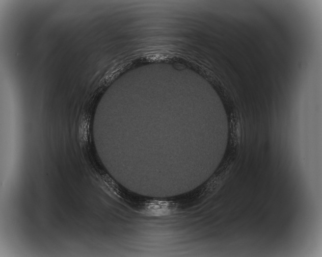 X0000103320227200810061001