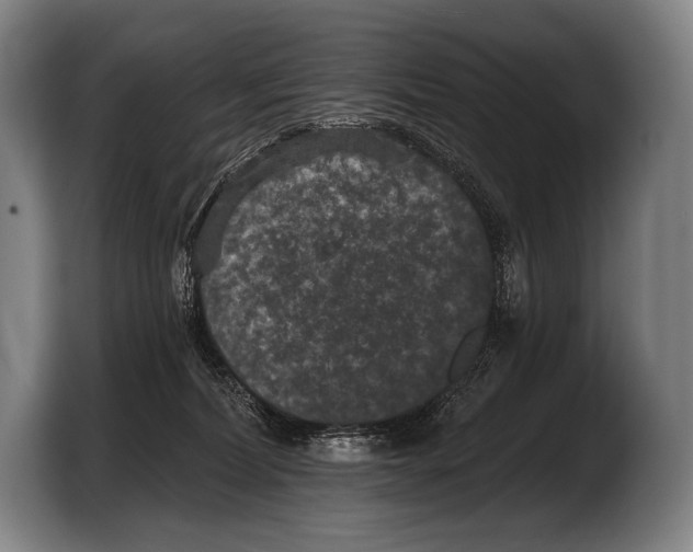 X0000103320228200810061001