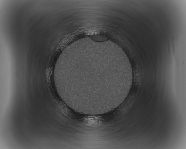 X0000103320229200810061001