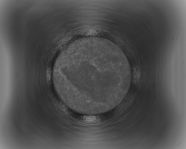 X0000103320230200810061001