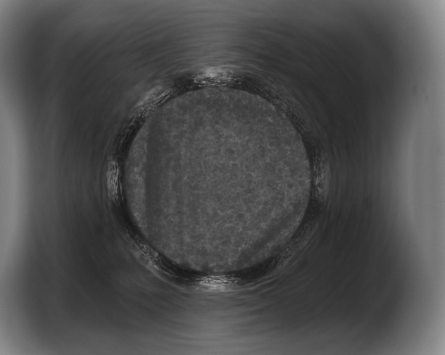 X0000103320231200810061001