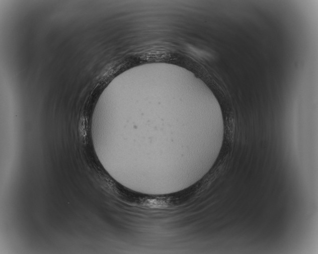 X0000103320232200810061001