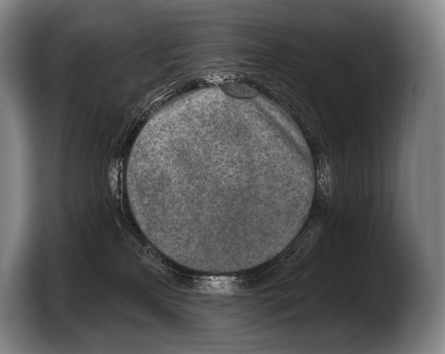 X0000103320233200810061001