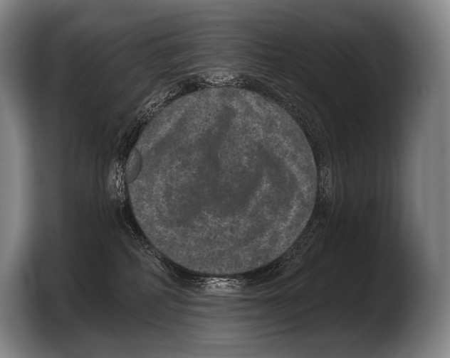 X0000103320234200810061001