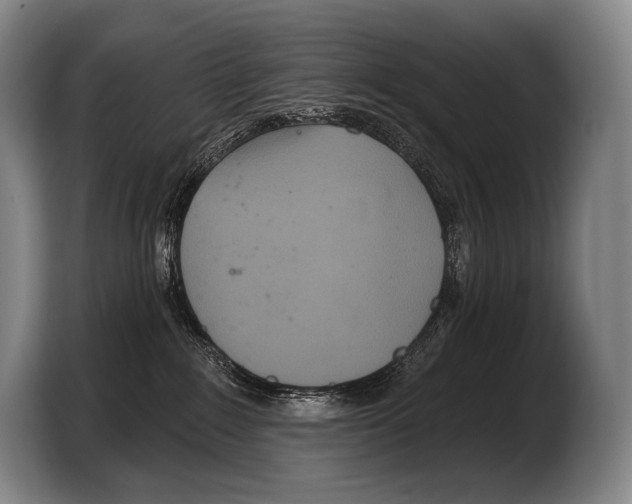 X0000103320235200810061001