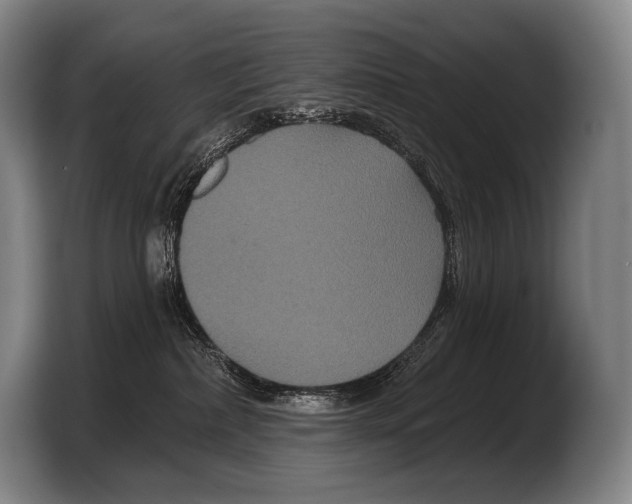 X0000103320236200810061001
