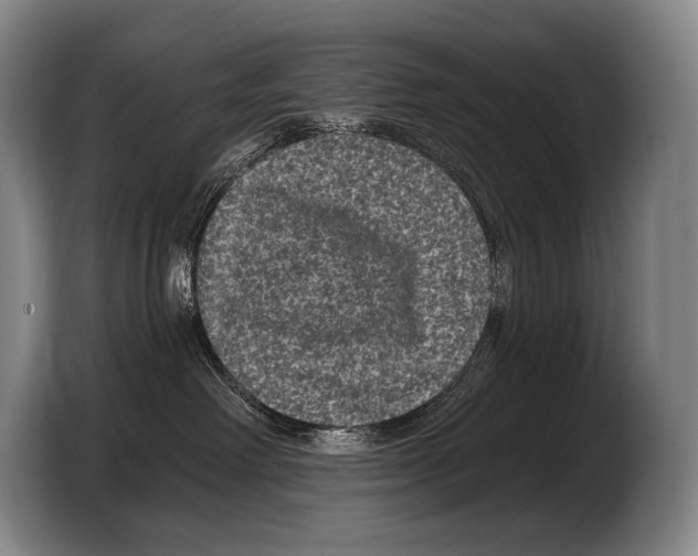 X0000103320238200810061001