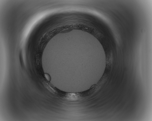 X0000103320239200810061001