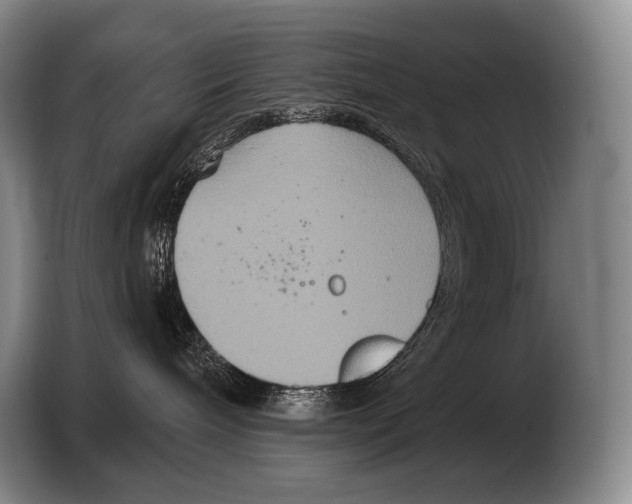 X0000103320240200810061001