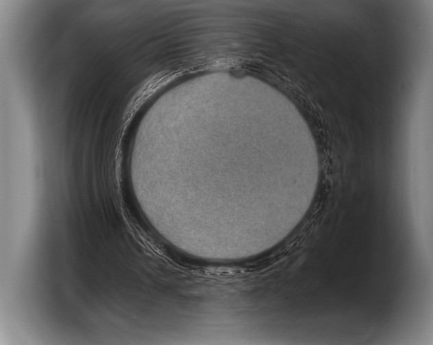X0000103320242200810061000
