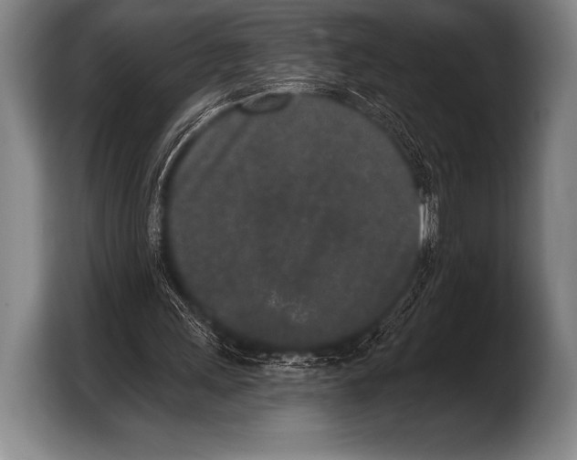 X0000103320243200810061000