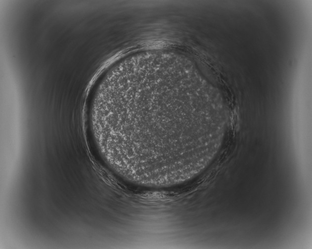 X0000103320244200810061000