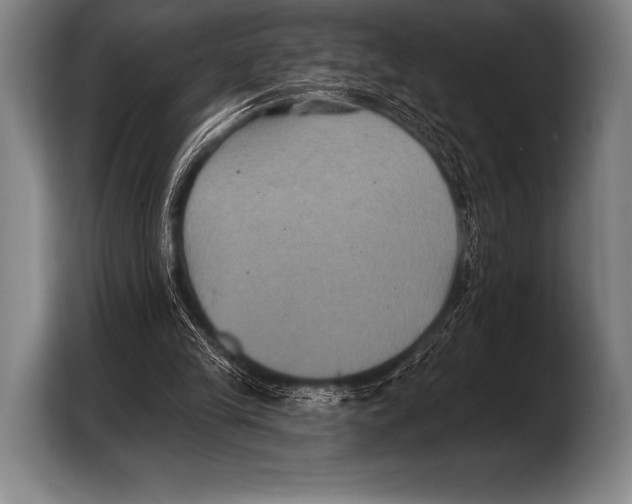 X0000103320245200810061000