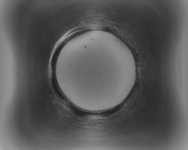 X0000103320246200810061000