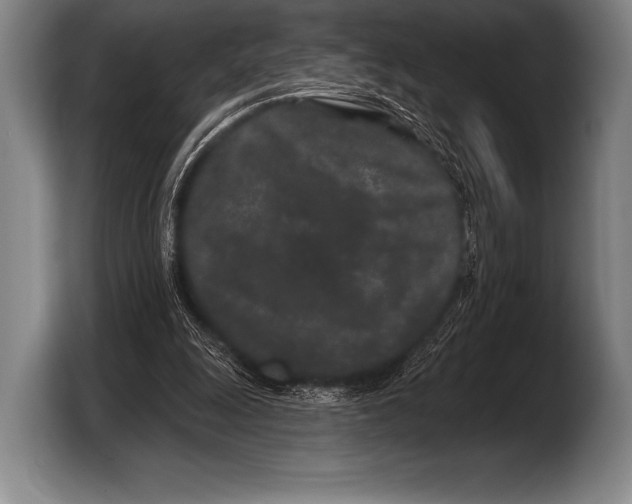 X0000103320247200810061000