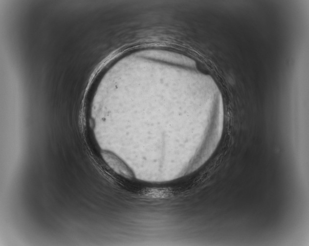 X0000103320248200810061000