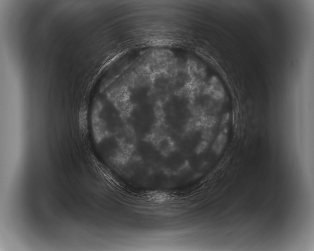 X0000103320249200810061000