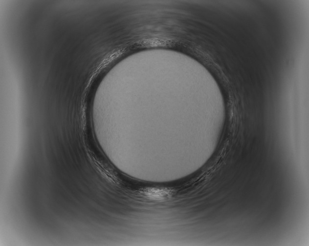 X0000103320250200810061000