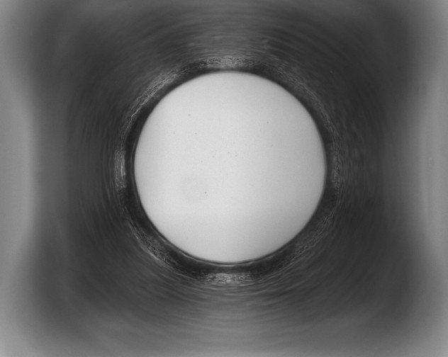 X0000103320251200810061000