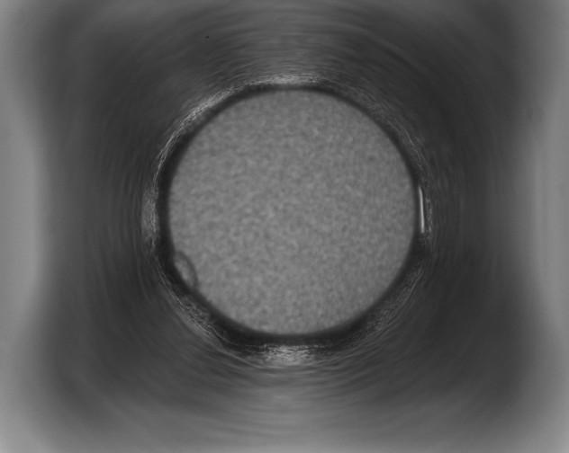 X0000103320252200810061000