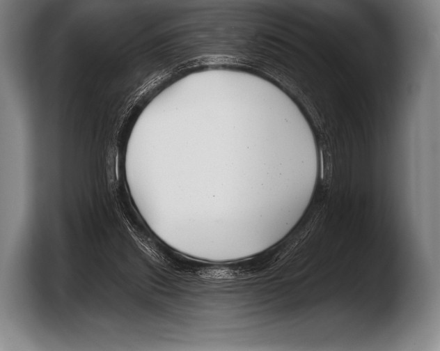 X0000103320253200810061000