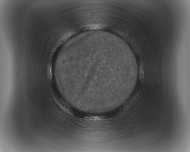 X0000103320254200810061000