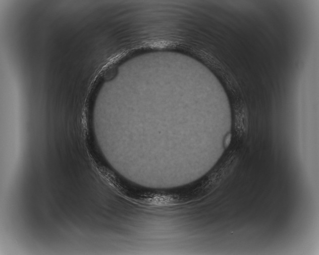 X0000103320256200810061000