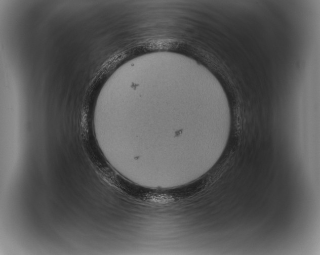 X0000103320258200810061000