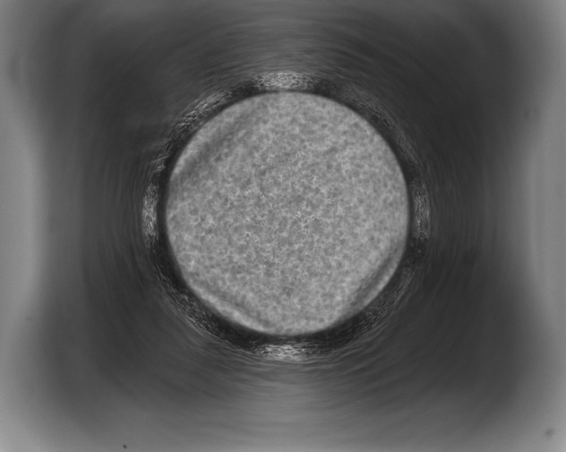 X0000103320259200810061000
