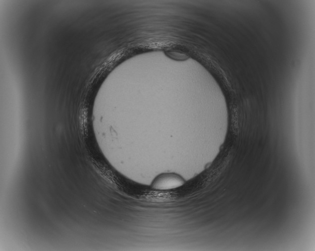 X0000103320260200810061000