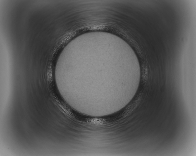 X0000103320261200810061000