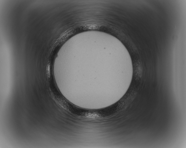 X0000103320262200810061000